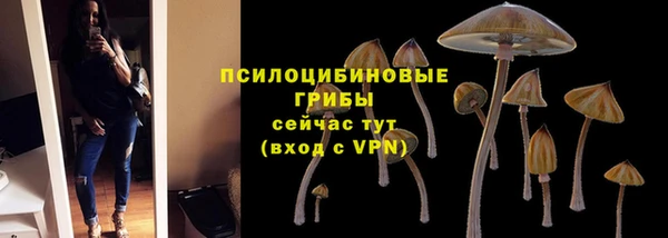 кристаллы Богданович