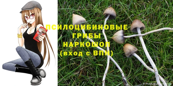 кристаллы Богданович